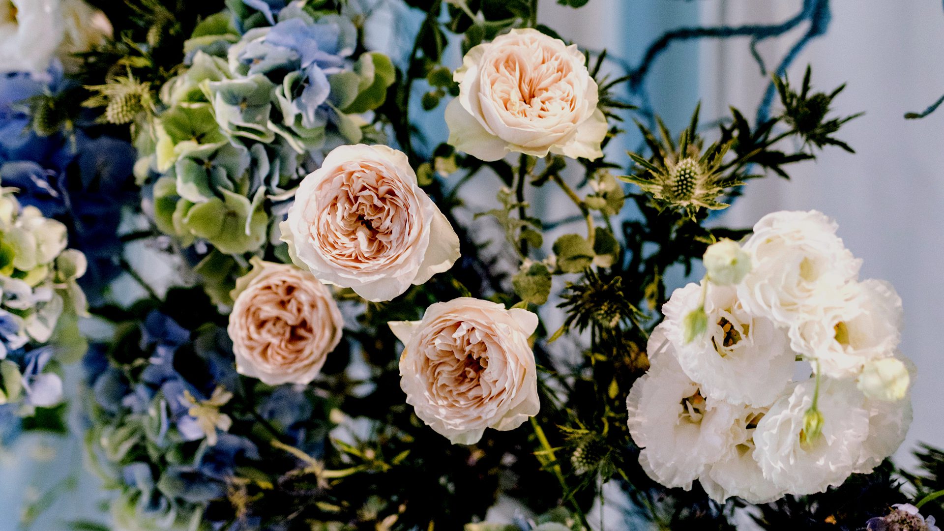 Image Slider