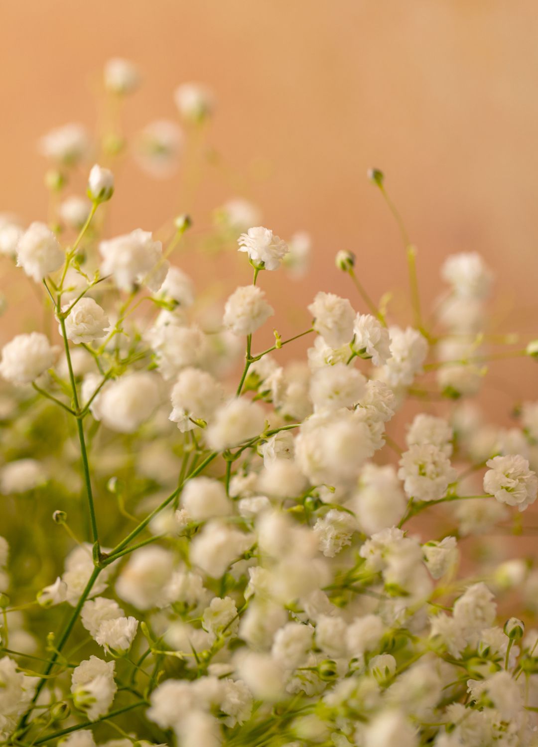 LE_02 LE_02