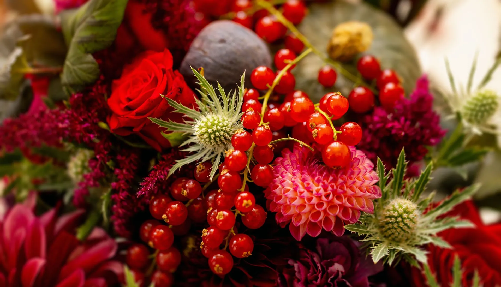 Image Slider