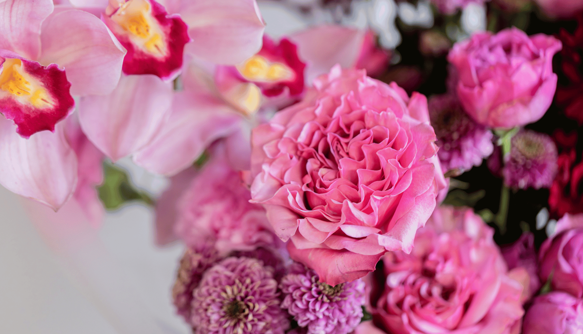 Image Slider